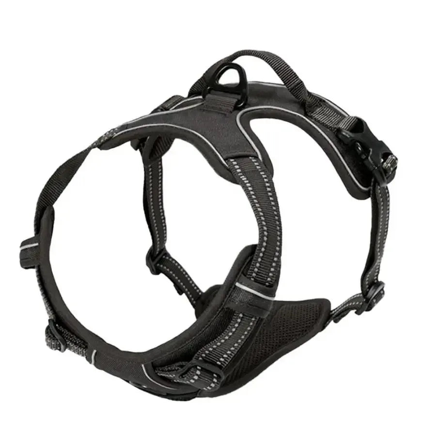 Dog Collars, Harnesses & Leash Set – Leather Puppy & Pet Accessories for Small and Medium Dogs